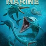 Cover Dominant Species: Marine