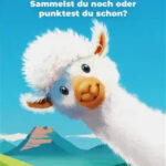 Cover Alpaka